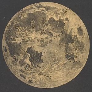 Meet your Posher, Julian